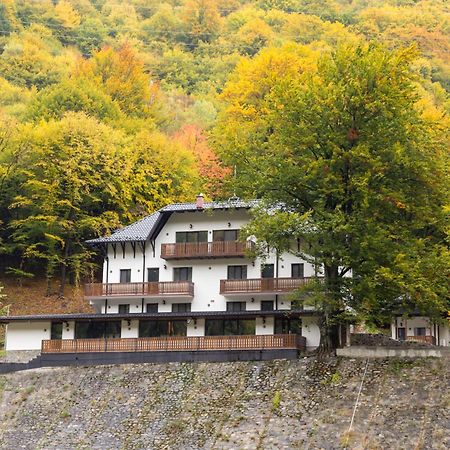 Poiana Mucenicului Hotel Arefu Buitenkant foto