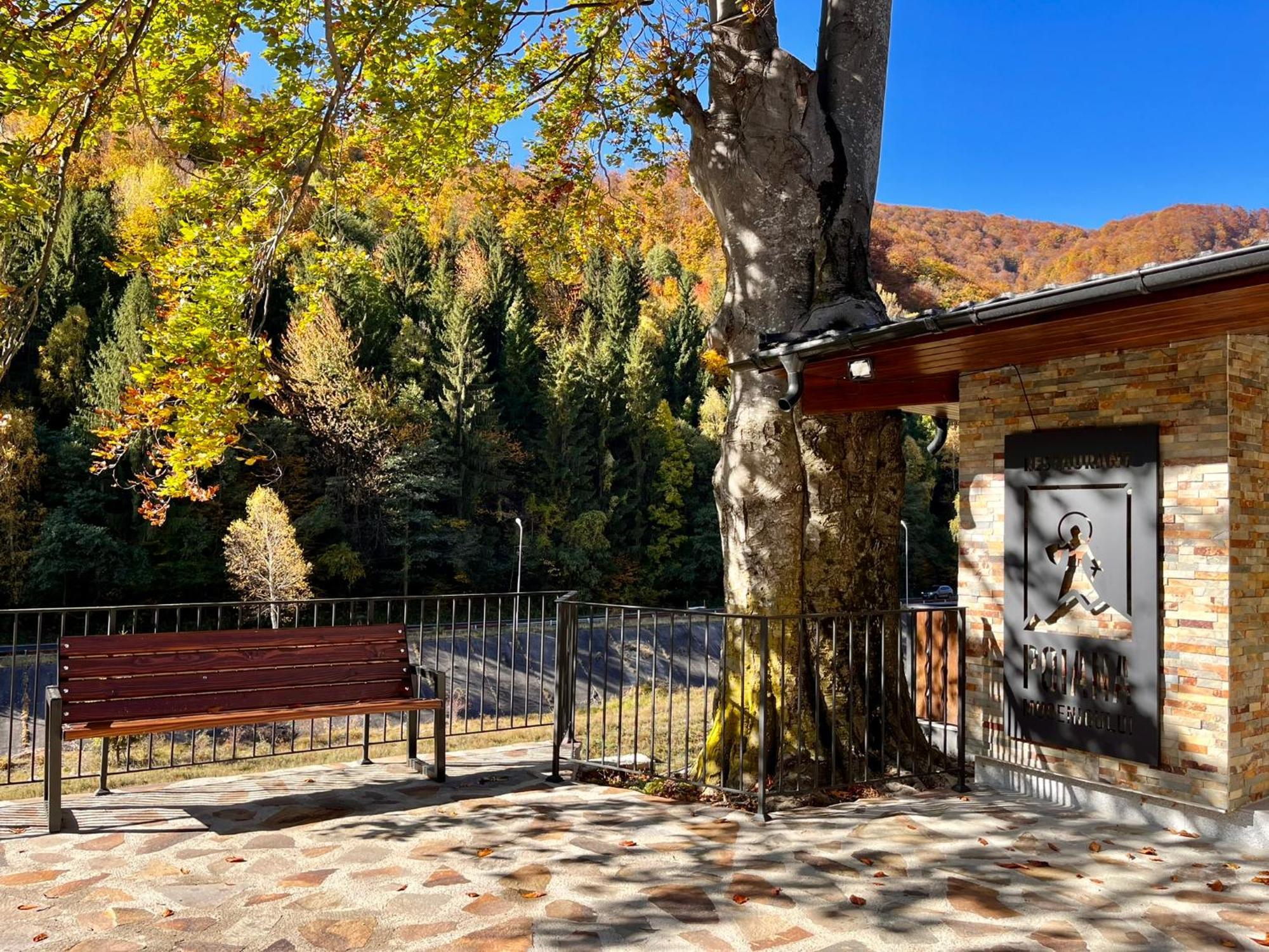 Poiana Mucenicului Hotel Arefu Buitenkant foto