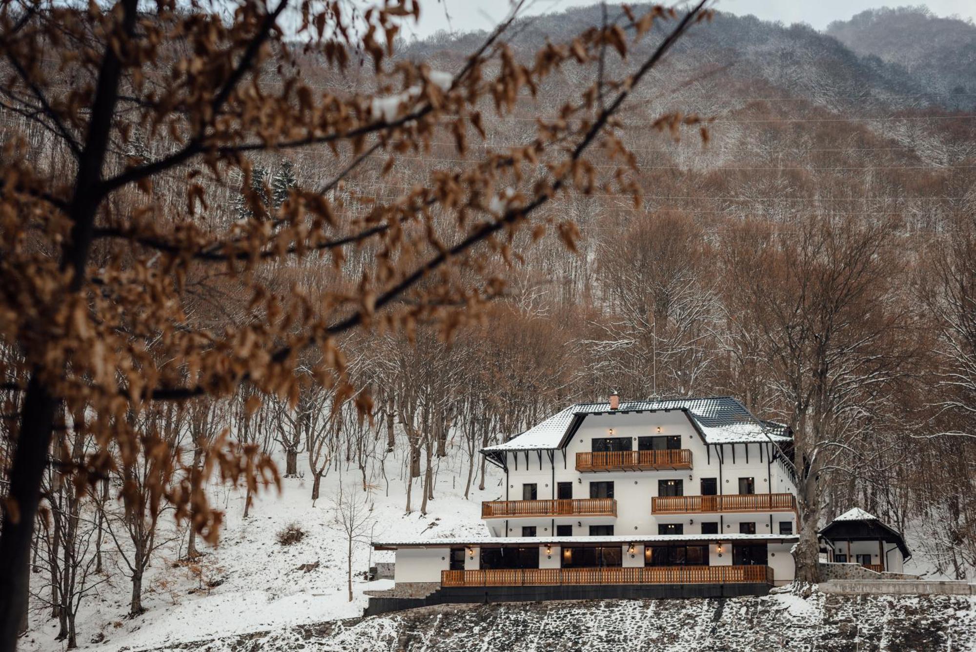 Poiana Mucenicului Hotel Arefu Buitenkant foto